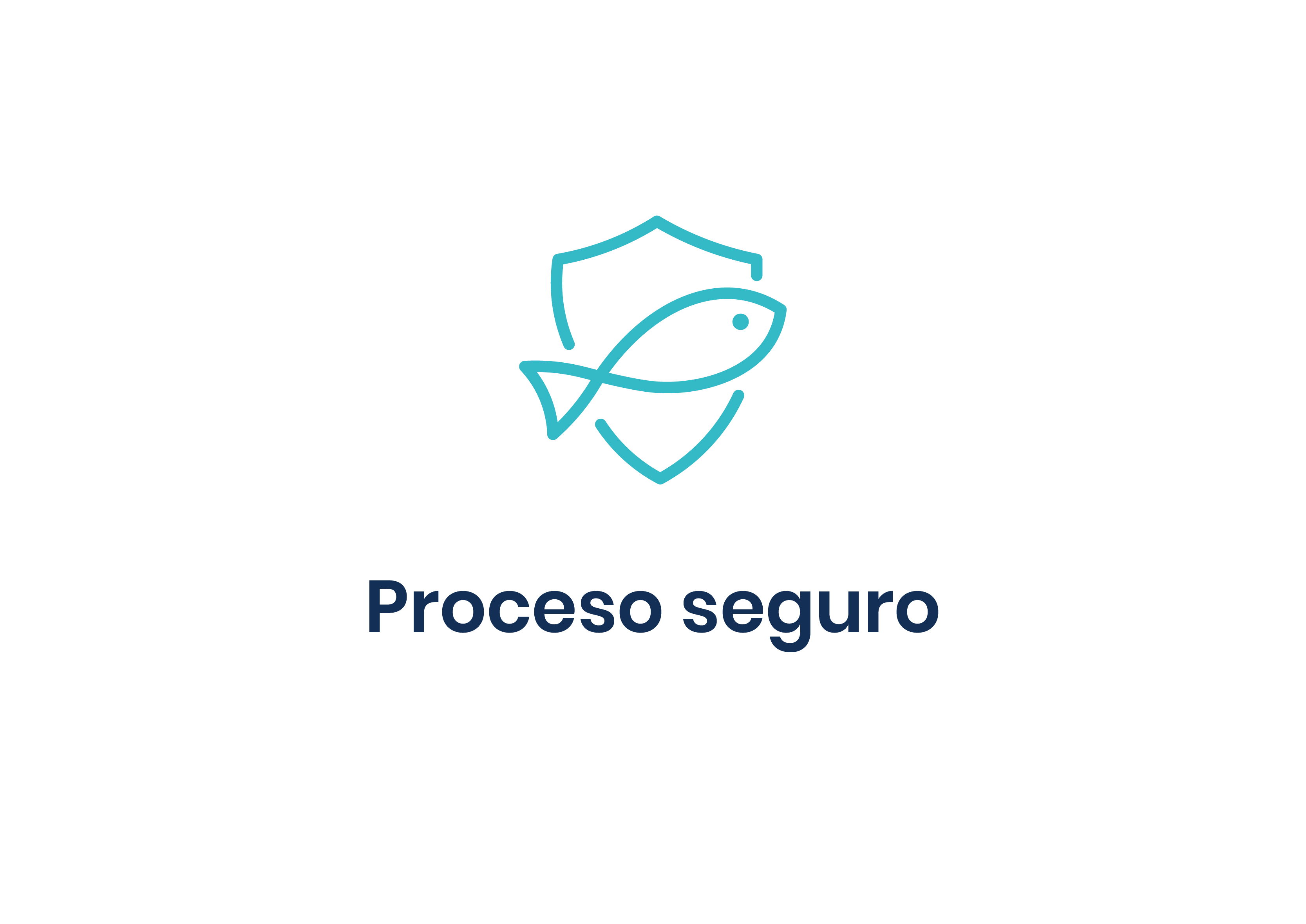 Tarjetas web ELOXIRAS_proceso seguro